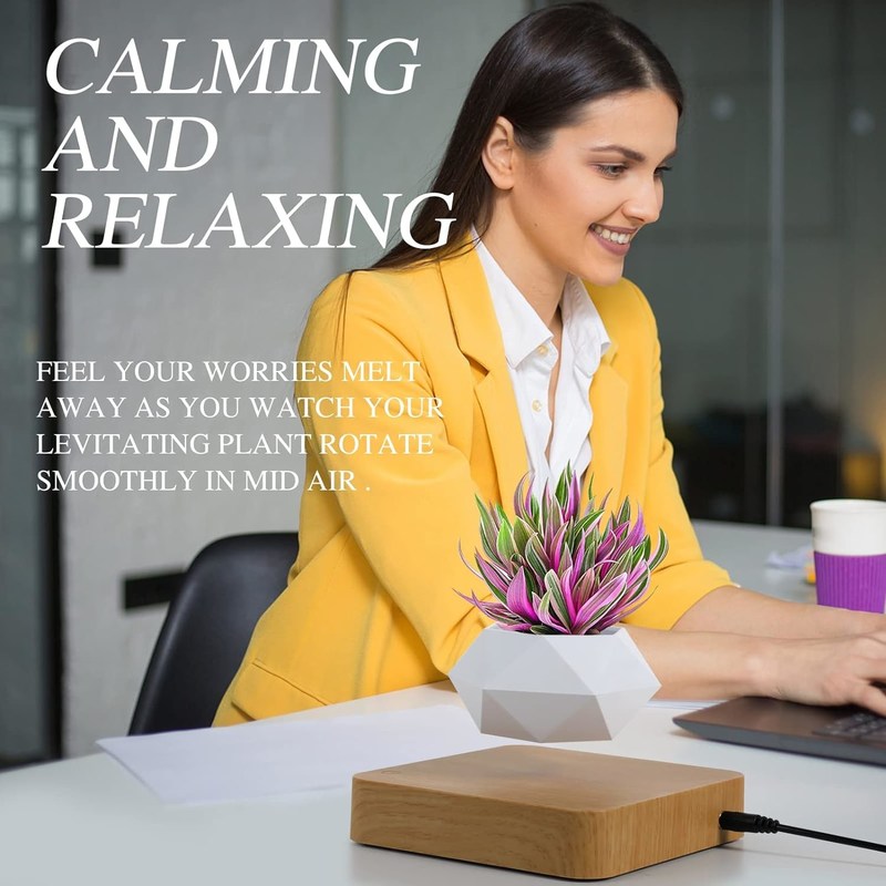 Base rotative Pot de plante de lévitation magnétique pour la décoration de bureau de jardin à domicile
