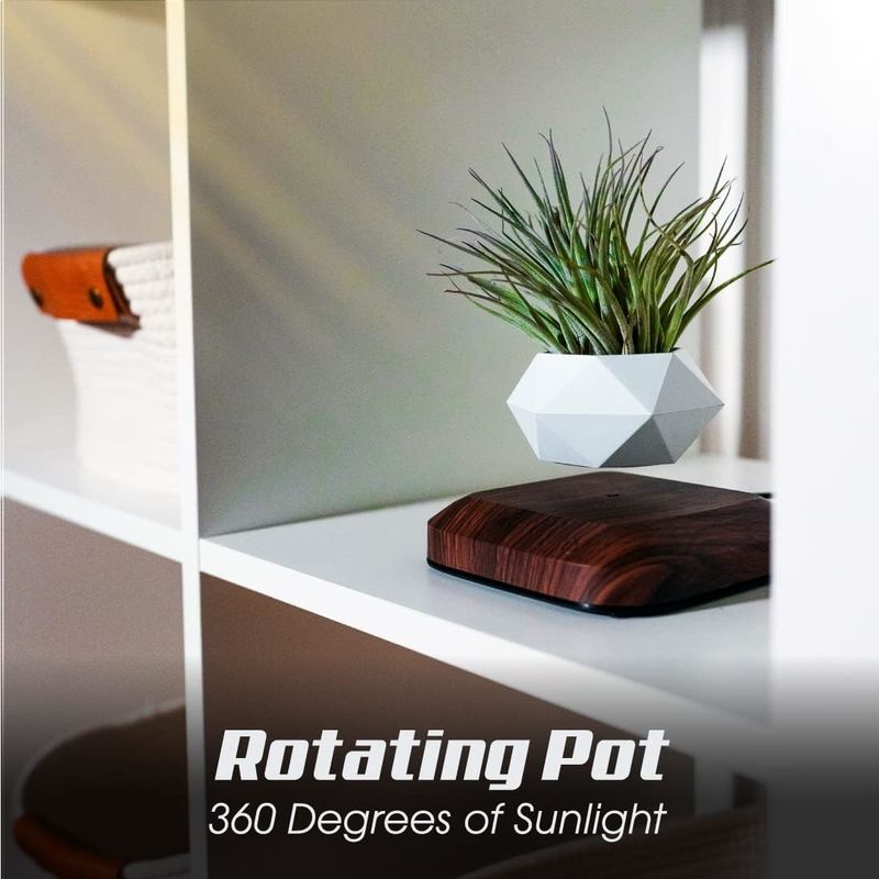 OEM/ODM Porte-pot de plantes flottantes lévitantes pour plantes aériennes