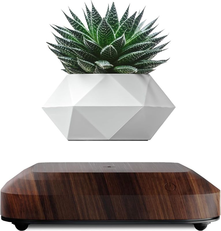 OEM/ODM Porte-pot de plantes flottantes lévitantes pour plantes aériennes